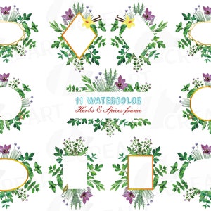 Pacchetto di clip art acquerelli con cornici di erbe e spezie, bordi di foglie di erbe acquerellate. File PNG, jpg, svg, illustrator vettoriali e corel inclusi