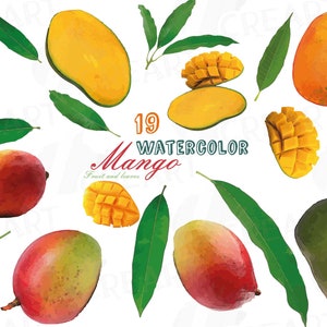 Watercolor Mango Clipart: Fruit & Leaves Graphics (Digital Download)