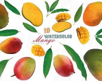 Imágenes prediseñadas de mangos en acuarela: Gráficos de frutas y hojas (Descarga digital)