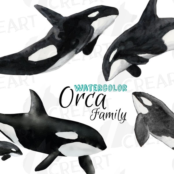 Orca family watercolor clip art pack, killer whales decoration. Printable Png, jpg, svg, pdf, vector illustrator, eps & corel files included