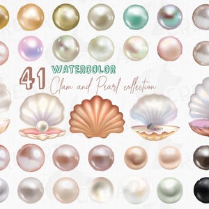 Clip art de elementos de diseño de concha de almeja con perla en acuarela. Decoración para el hogar con temática oceánica de perlas y conchas marinas en acuarela. Conchas y perlas imprimibles en formato PNG.