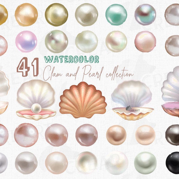 Watercolor Pearl Clam shell design elements clip art. Watercolor pearl and Seashells ocean theme home decor. Printable shells and pearls png