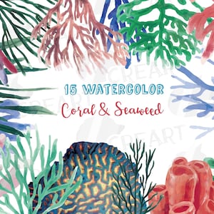 Watercolor Coral Reef Clipart: Seaweed PNG, SVG, EPS (Digital Download)