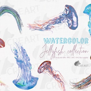 Watercolor Jellyfish Art: Tropical Sea Clip Art (PNG, JPG, SVG)