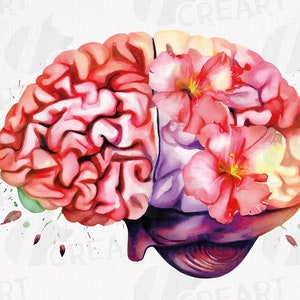 Watercolour human brain with hibiscus flowers. Floral human brain clip art. Neurologist med student gift idea. Medical decoration graphic.