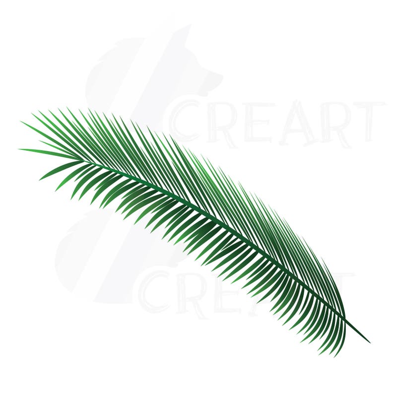 Summer leaf clip art pack, palm leaf collection. Eps, png, jpg, pdf, vector illustrator & corel files included, instant download image 4