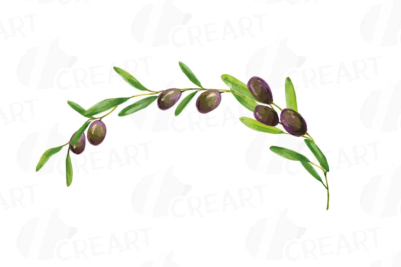 Olive leaves and branches watercolor clip art collection | Etsy