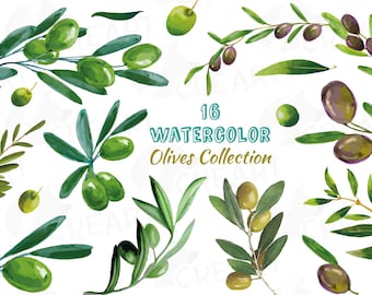 Watercolor Olive Branch Clipart: Leaves & Olives Design Elements (PNG, JPG, SVG)