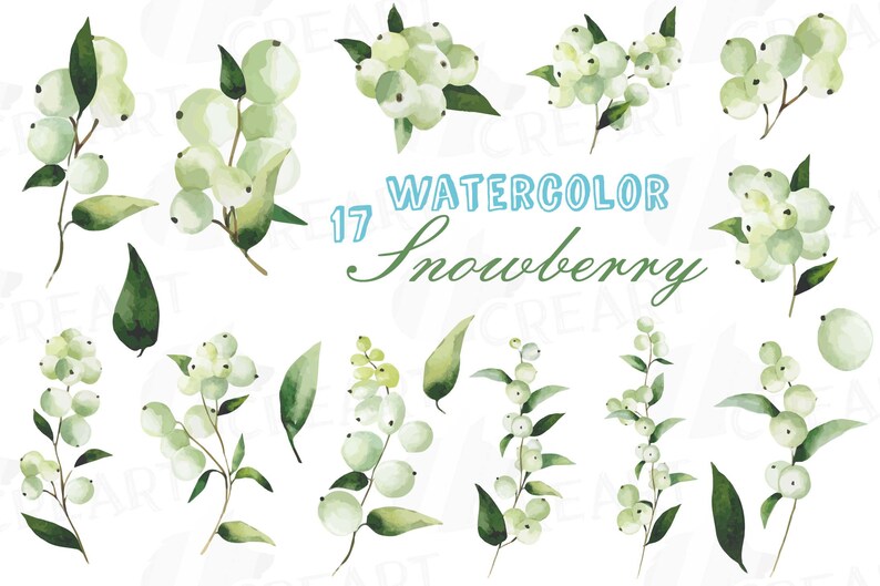 Snowberry leaves and branches watercolor clip art pack | Etsy