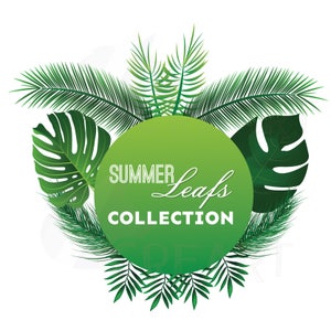 Summer leaf clip art pack, palm leaf collection. Eps, png, jpg, pdf, vector illustrator & corel files included, instant download image 1