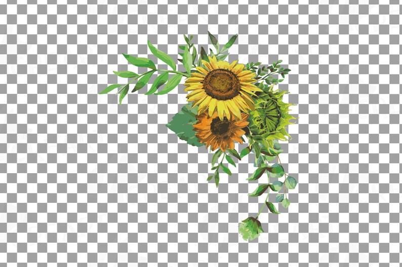 Jpg Svg Vector Files Included Sunflower Bouquets Watercolor Clip Art Pack Watercolor Sunflower Wreath And Design Elements Floral Png Clip Art Art Collectibles Deshpandefoundationindia Org