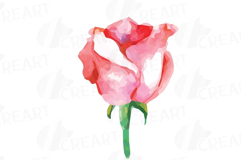 Download Svg Eps Vector Files Included Valentine Clip Art Jpg Valentine Roses Png Roses And Leafs Watercolor Roses And Leafs Clip Art Pack Clip Art Art Collectibles Deshpandefoundationindia Org