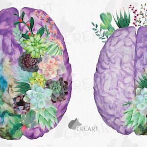 Ogród sukulentów kwitnący anatomiczny projekt mózgu. Akwarela kwiatowy ludzki mózg clipart. Prezent dla neurologa dla studenta medycyny. Mózg dla zdrowia psychicznego