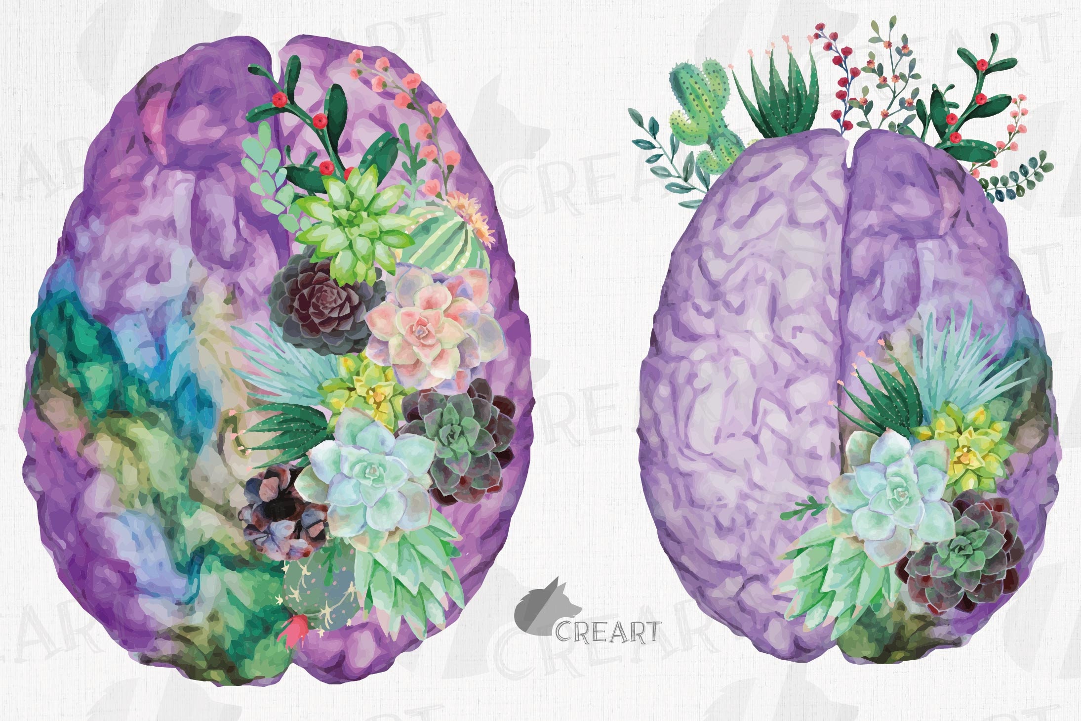 succulent-garden-blooming-anatomical-brain-design-watercolor-floral
