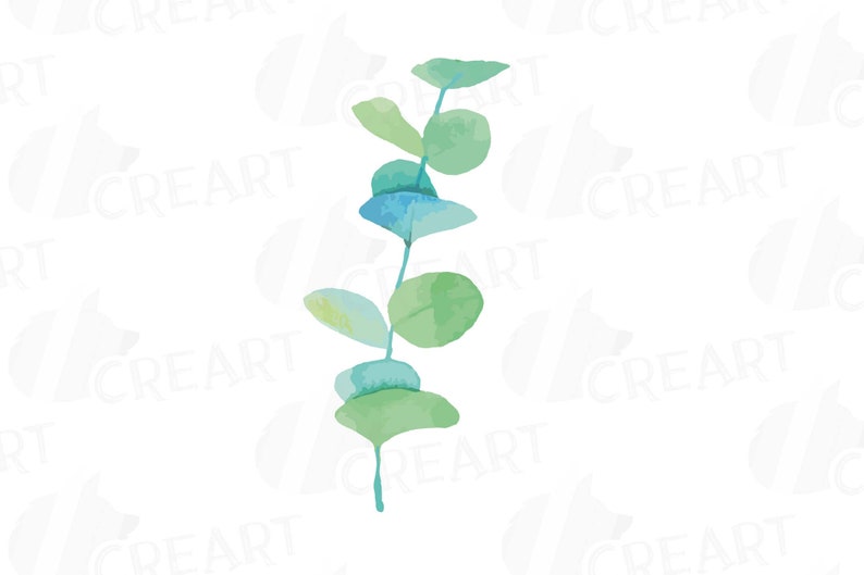 Download Jpg Baby Eucalyptus Leaves And Branches Watercolor Clip Art Pack Vector Illustrator Corel Files Png Svg Eucalyptus Design Elements Clip Art Art Collectibles Deshpandefoundationindia Org