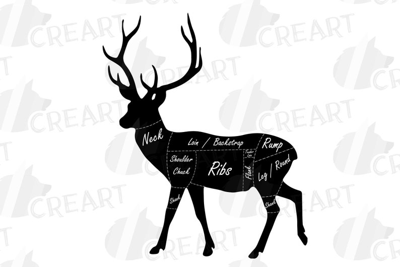 Butcher chart: cuts of venison. Deer meat cut diagram  this dvd is 1 hour & 26 minutes long! Below is a guide to the various cuts of venison plus some sample recipes. Hunters meat cut chart that you can use to dress up your kitchen, clothing's, pillows, cards, stickers, web design, wall decor, create butchers gift, make hunters tumbler or mug with More images for venison cuts of meat diagram » It is exactly the same process!</p>         <p>                                     <figure>                 <img src=