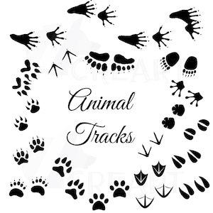 Traces d'animaux, empreintes d'animaux de la forêt Clipart pack, téléchargement immédiat, vecteur, silhouettes Fichiers PNG JPG à usage commercial ou personnel