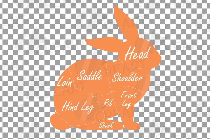 Butcher Rabbit Diagram Clip Art. Printable Rabbit Chart | Etsy Ireland