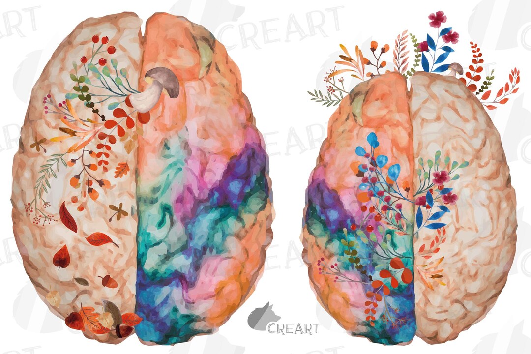 Floral Anatomical Brain Art: Watercolor Autumn Design (digital Files ...