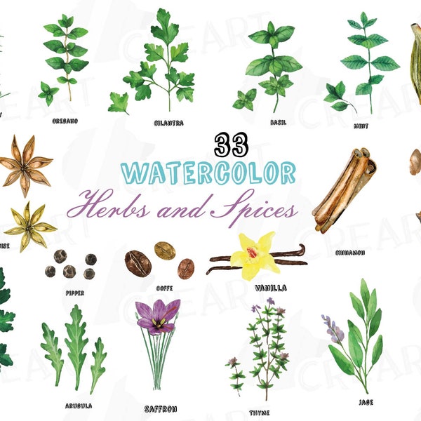 Herbs and Spices clip art pack, Watercolor herbs and spices chart, kitchen herbs, food print. PNG, jpg, svg, vector illustrator &corel files