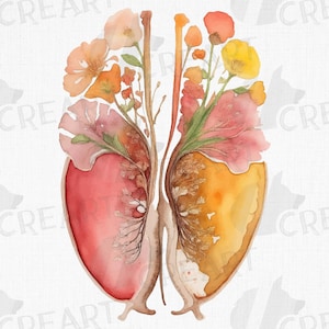Autumn Blooming Anatomical Kidneys – Unique floral human kidney clip art, perfect for urologist gifts and medical wall decoration