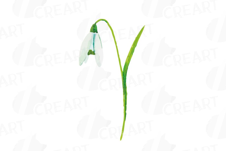 Free Free Snowdrop Svg 55 SVG PNG EPS DXF File
