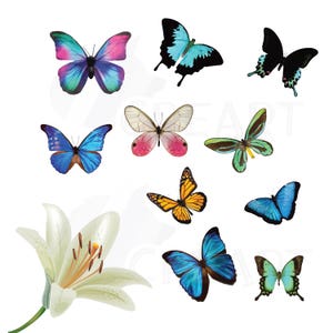 Watercolor butterflies Clip art pack. Butterfly house warming decoration. Vectors, png, jpg, dxf, pdf and eps files. Spring wedding graphics