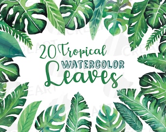 Tropical Watercolor Leaves Clipart: Green Foliage Graphics (Digital Download)