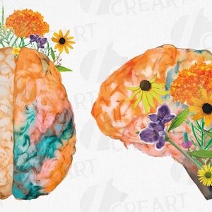 Cerebro anatómico en flor de pradera. Clip art de cerebro humano con flores en acuarela. Regalo para neurólogo estudiante de medicina. Cerebros amarillos y naranjas.