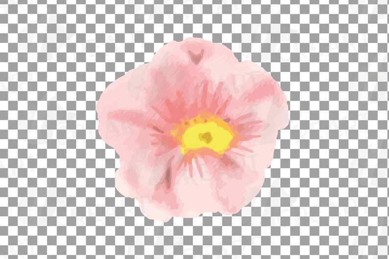 Download Art Collectibles Clip Art Vector Files Jpg Flowers And Branches Decoration Floral Spring Watercolor Coral Pink And Green Branches Wedding Decor Clip Art Svg Png