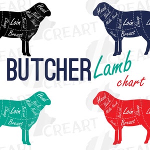 Diagramma di taglio della carne di agnello da macellaio, clip art. Decorazione digitale del grafico delle pecore in formato svg. Arte murale della macelleria in formato png. Decorazione da cucina con taglio della carne di pecora vettoriale.