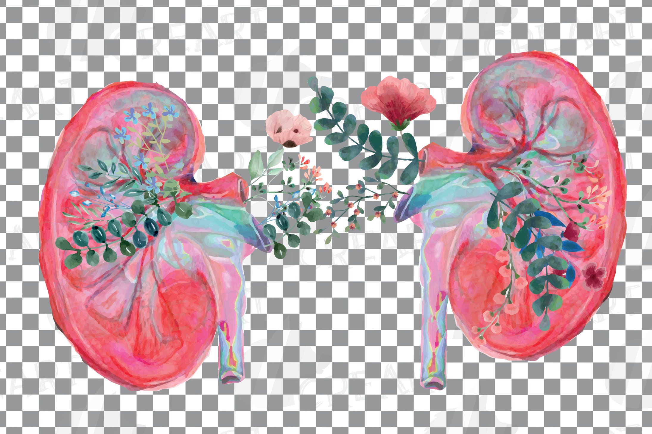 Floral Anatomical Kidneys Decor Design. Floral Human Kidney Etsy