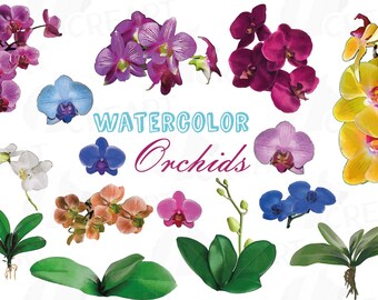 Watercolor Orchid Clipart: Floral Illustration Pack (PNG, JPG, Vector)