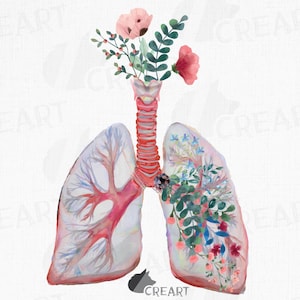 Blush and green floral anatomical lungs decor design. Floral human lungs gift art. Pulmonologist med gift. Medical printable wall decor png.