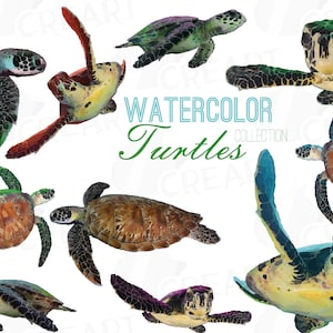 May include: Watercolor painting of ten sea turtles in various poses. The turtles are painted in shades of green, blue, brown, and yellow. The text "Watercolor Turtles Collection" is written in blue and green letters.