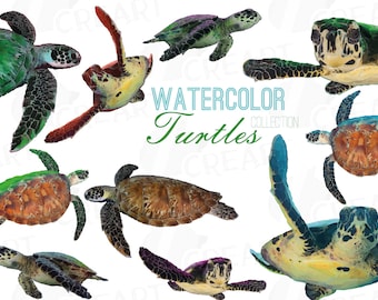 Imágenes prediseñadas de tortugas marinas en acuarela: PNG, SVG, EPS tropicales (descarga digital)