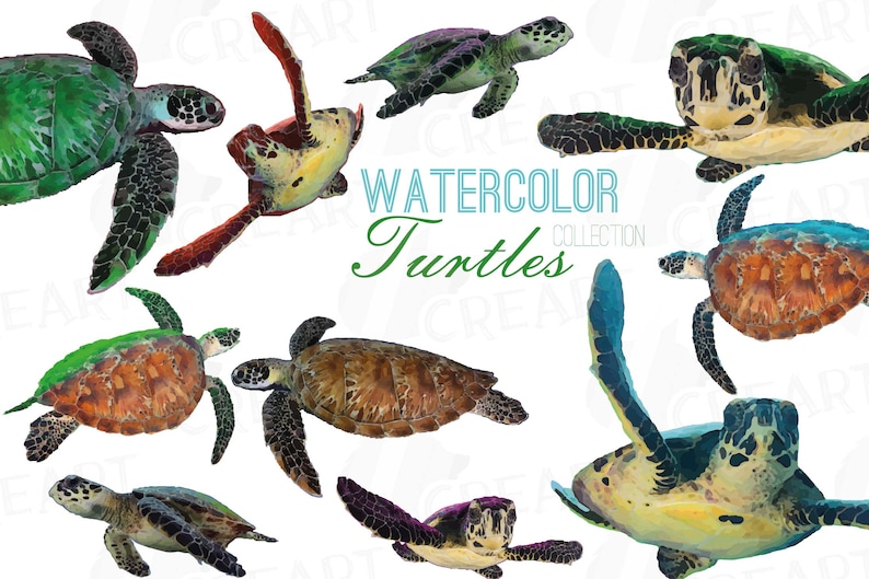 May include: Watercolor painting of ten sea turtles in various poses. The turtles are painted in shades of green, blue, brown, and yellow. The text "Watercolor Turtles Collection" is written in blue and green letters.