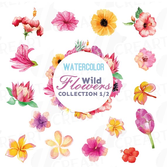Download Clip Art Eps Svg Watercolor Gerbera Daisy Clip Art Pack Vector Files Included Gerber Collection 1 Watercolor Flowers Png Jpg Colorful Gerbers Art Collectibles