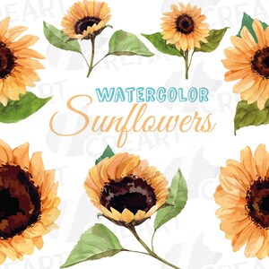 Pack d'images clipart de décoration aquarelle tournesol. Éléments de conception de tournesol aquarelle. Chemise d'invitation de mariage tournesol ou graphique de tasse.