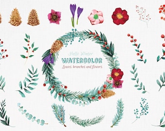 Winter flowers and leafs clip art pack, watercolor floral elements, winter branches, winter wreath decor. Eps, png, jpg, svg, vector files