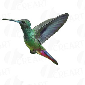 Puede incluir: Un colibr&iacute; verde, azul y rojo con las alas extendidas en vuelo. El colibr&iacute; tiene un pico largo y delgado.
