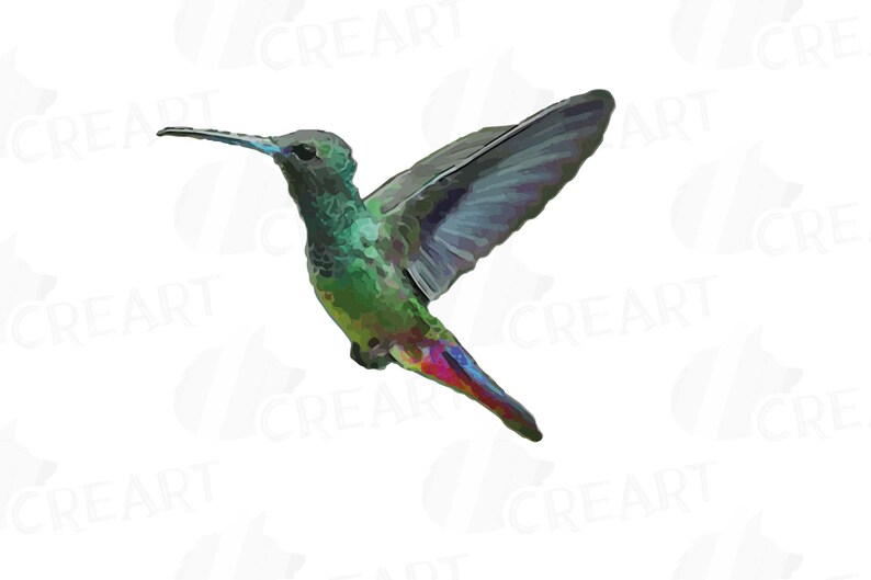 Puede incluir: Un colibr&iacute; verde, azul y rojo con las alas extendidas en vuelo. El colibr&iacute; tiene un pico largo y delgado.
