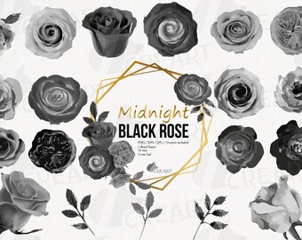 Midnight black roses clip art. Black, white and Grey floral, watercolor Rose Flower and leaves Clipart, rose Png. Black and white invitation