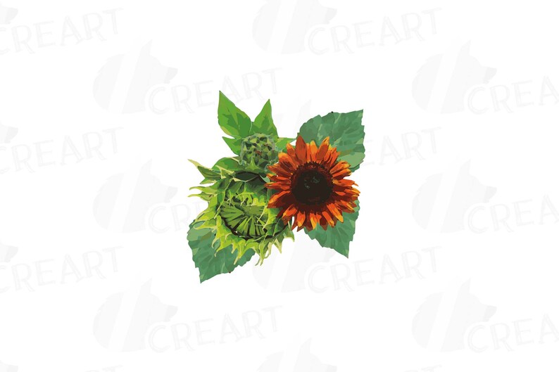 Download Jpg Svg Vector Files Included Sunflower Bouquets Watercolor Clip Art Pack Watercolor Sunflower Wreath And Design Elements Floral Png Clip Art Art Collectibles Deshpandefoundationindia Org