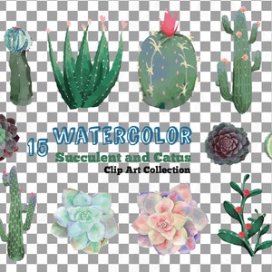Watercolor Cactus and Watercolor Succulent Clipart Pack, Green Cactus ...