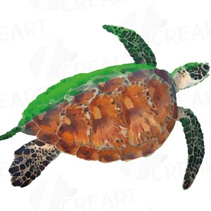 May include: A watercolor painting of a green sea turtle swimming with its head turned to the side. The turtle has a brown shell with green markings and black spots on its flippers.