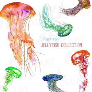 Watercolor Jellyfish Clipart: Tropical PNG, SVG, Vector Files (Digital Download)
