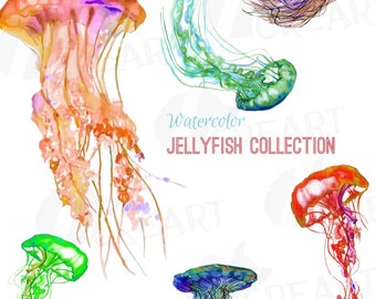 Watercolor Jellyfish Clipart: Tropical PNG, SVG, Vector Files (Digital Download)