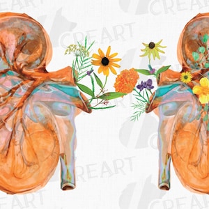 Prairie flowers blooming anatomical kidney. Watercolor floral human kidney clipart. Urologist med student gift. Yellow orange anatomy decor.