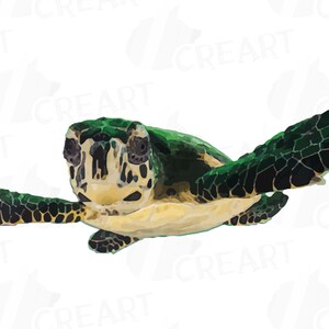 May include: A green sea turtle with black markings swims with its head and front flippers above the water. The turtle's shell is a dark green with black markings.